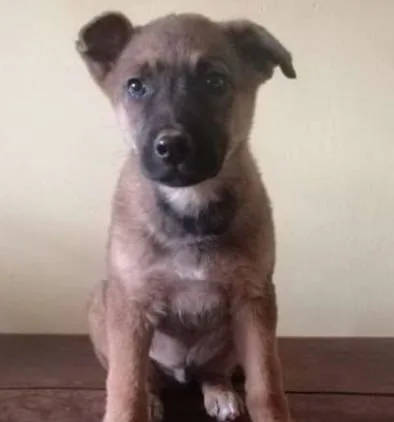 Ajax
