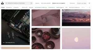 image libre de droit