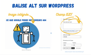 balise alt et images optimisées